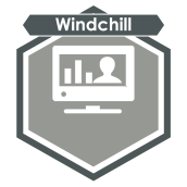 1st  Windchill Perf. Advisor